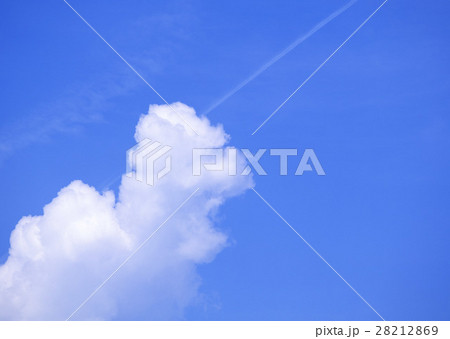 青空 28212869