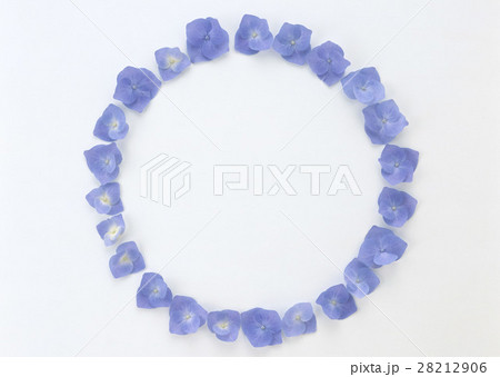 花のフレーム 28212906