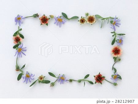 花のフレーム 花のフレーム 28212907