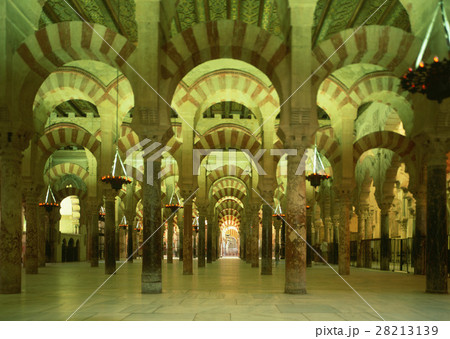 メスキータ 28213139