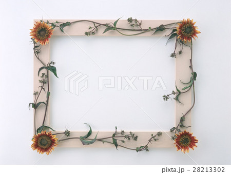 花のフレーム 28213302