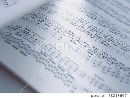 楽譜 28213667