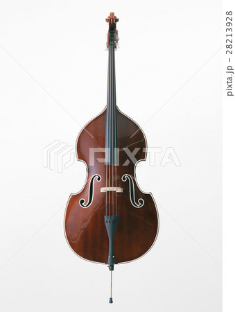 コントラバス コントラバス 28213928