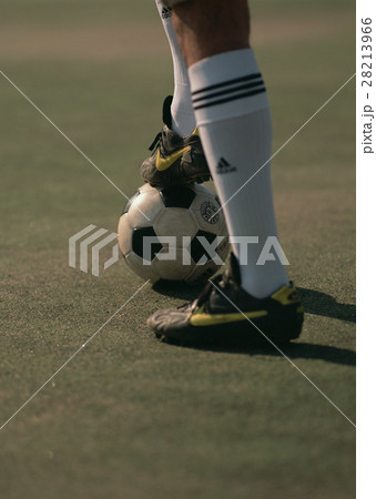 サッカー選手 サッカー選手 28213966