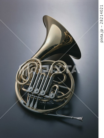 フレンチホルン 28214021