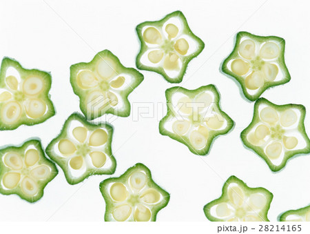 オクラ オクラ 28214165