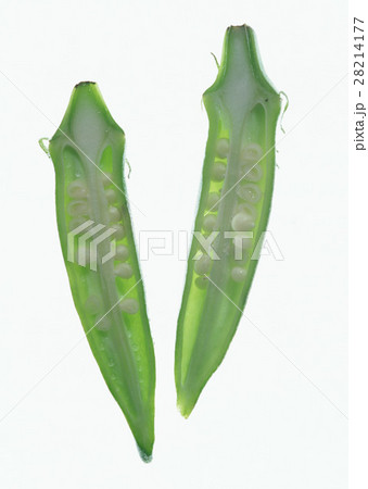 オクラ オクラ 28214177