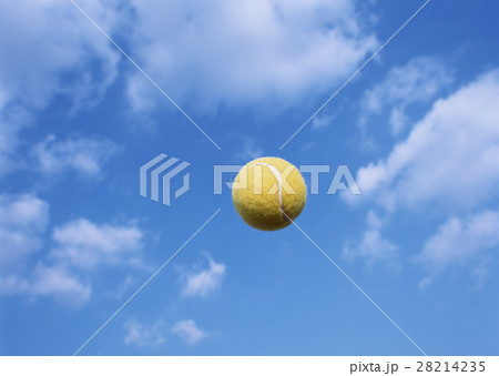 テニスボール テニスボール 28214235