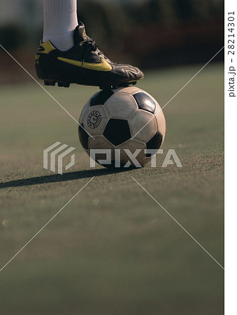 サッカー選手 サッカー選手 28214301