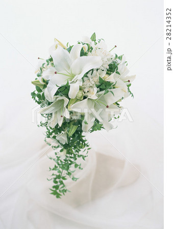 ブーケ ブーケ 28214352