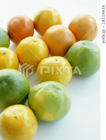 シトラスフルーツ 28214616