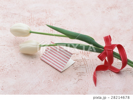 チューリップ 28214678