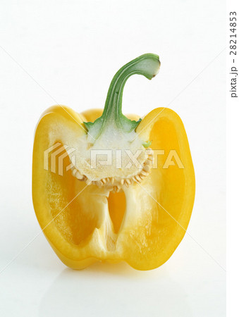 パプリカ 28214853