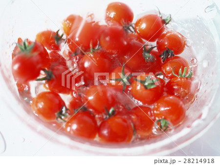 ミニトマト 28214918
