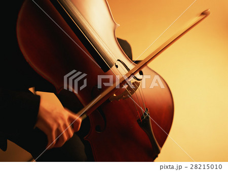 チェロ演奏 28215010