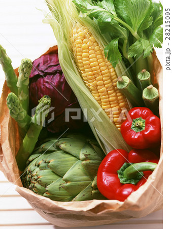 野菜いろいろ 28215095