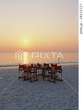 ディナー 28215127