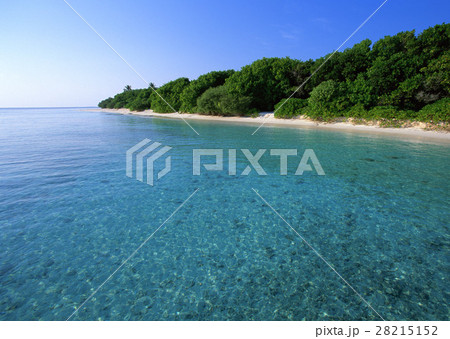 海 海 28215152