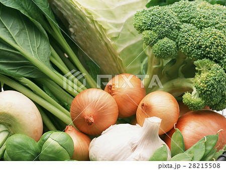野菜いろいろ 野菜いろいろ 28215508