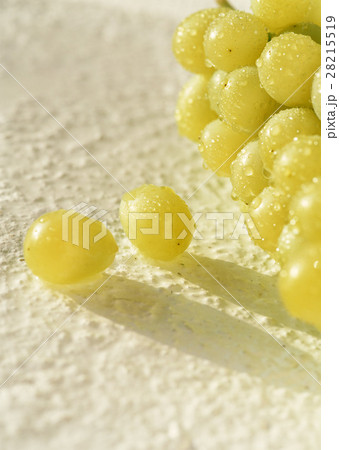 マスカット 28215519