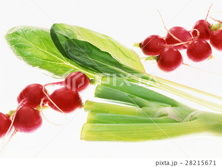 野菜いろいろ 野菜いろいろ 28215671