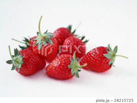 イチゴ 28215725