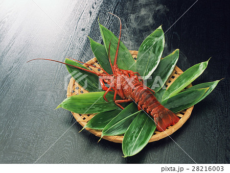 茹でたての伊勢海老 28216003