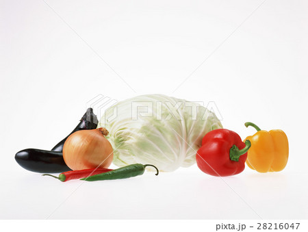 野菜いろいろ 28216047