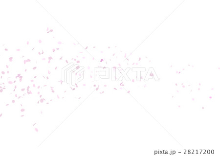 桜吹雪 28217200