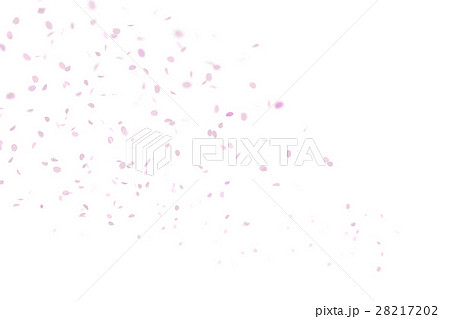 桜吹雪 28217202
