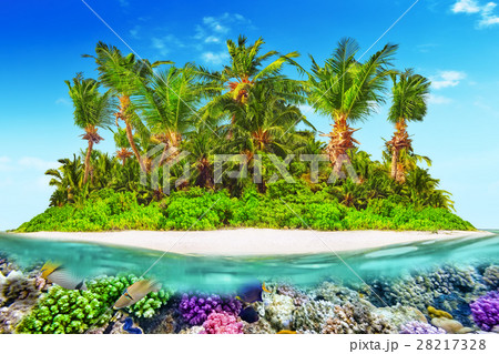 Tropical island and beautiful underwater world. Tropical island and beautiful underwater world. 28217328