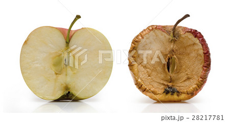 Two half of apple  28217781