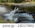 涌き水 滝 瀧 28217802