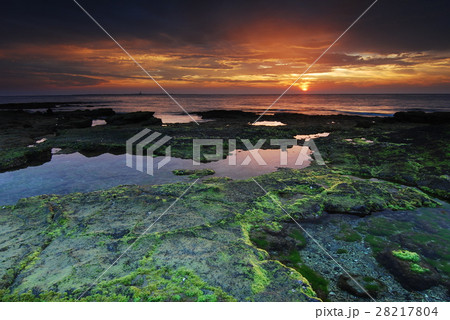 海 海事 海軍 28217804