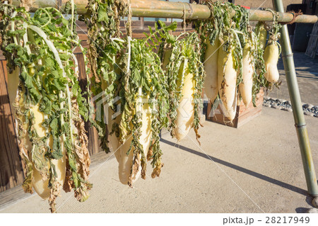 干し大根 28217949