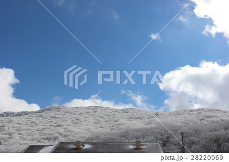 牧ノ戸峠の樹氷 牧ノ戸峠の樹氷 28220069