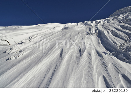 シュカブラ(風紋) 28220189