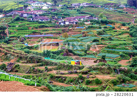 Sri Lankan mountain village 28220631