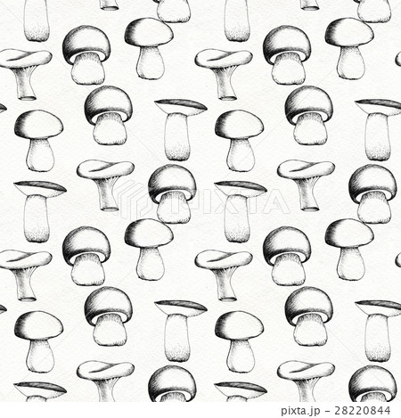 Hand drawn seamless pattern with mushrooms. 28220844