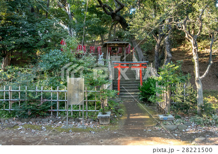 丸山随身稲荷大明神 28221500