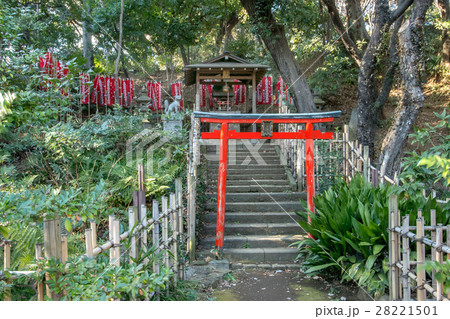 丸山随身稲荷大明神 丸山随身稲荷大明神 28221501