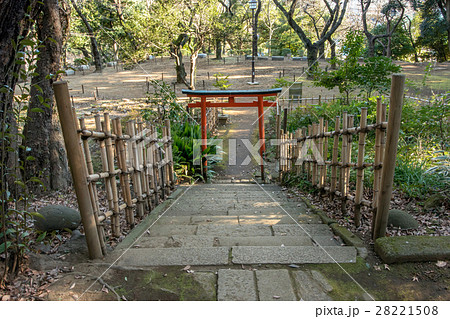 丸山随身稲荷大明神 28221508