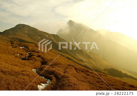 金色 黄金 ゴールド 28222175