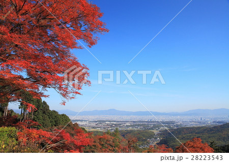 善峯寺からの京都の秋 28223543