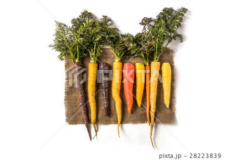 カラフルにんじん　 Colorful carrot 28223839