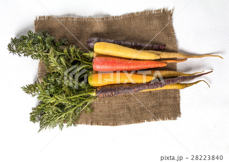 カラフルにんじん Colorful carrot カラフルにんじん Colorful carrot 28223840