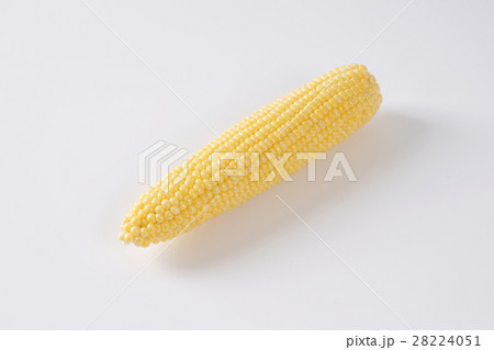 ripe corn cob 28224051