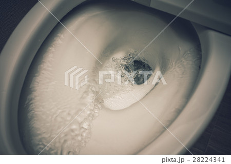 TOILET 28224341