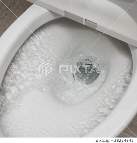 TOILET TOILET 28224345