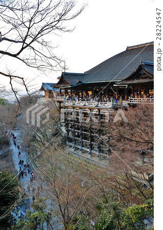 日本 ジャパン 日本国 28224547